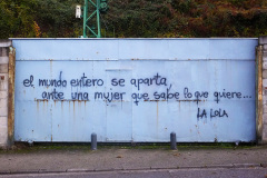 la_lola_20x30
