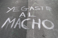 Pintaes. Yegaste al macho