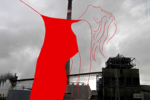 Dérmico II. 2008