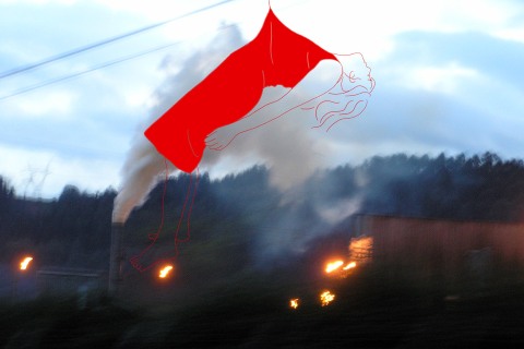 Dermico I. 2007